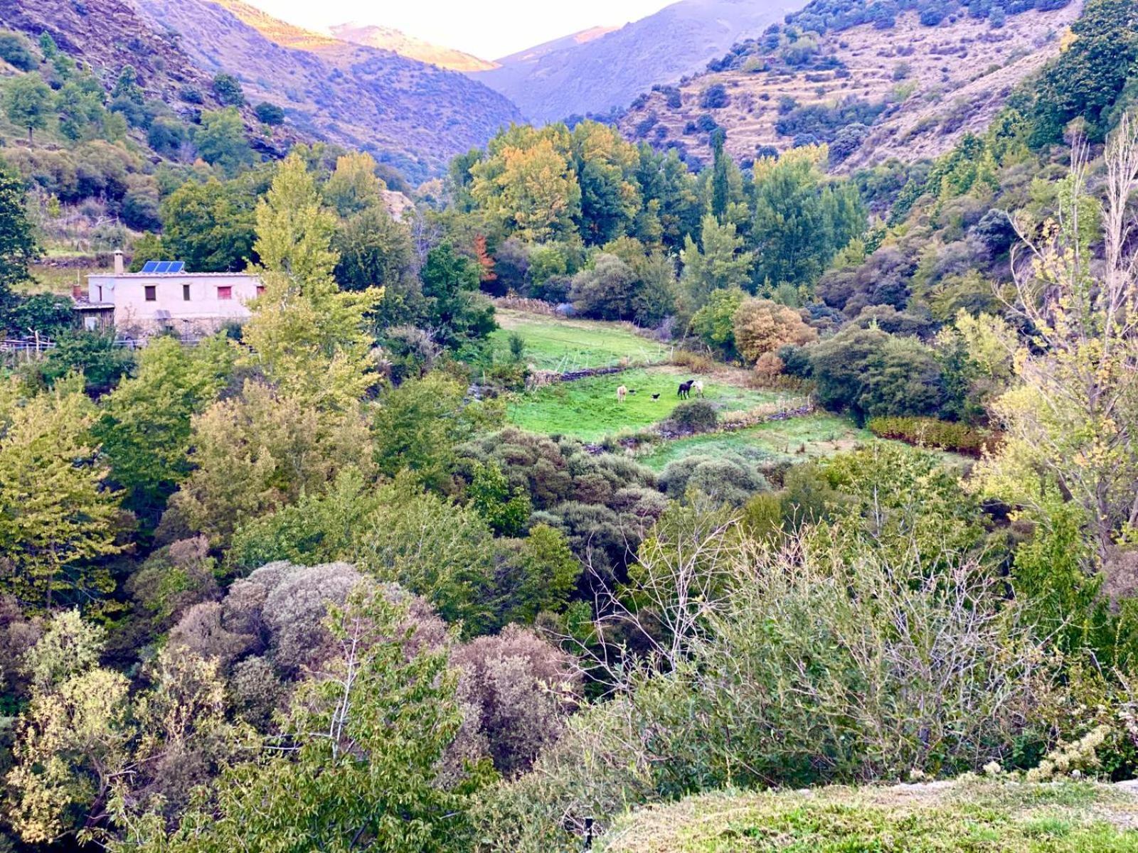 Casa Rural Cortijo Molino Altero Trevélez Exterior foto